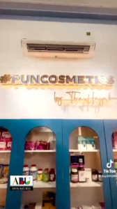 PUNCOSMETICS By ThoaHuynh